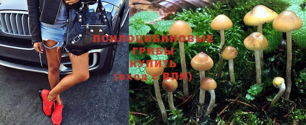 мяу мяу мука Заволжск