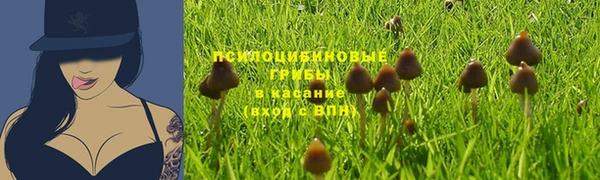 Альфа ПВП Ельня