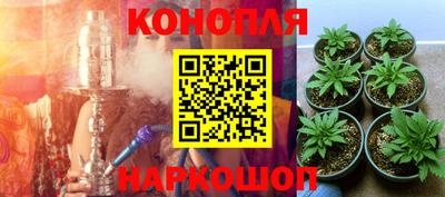 СК Краснодар