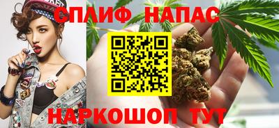 СК Краснодар