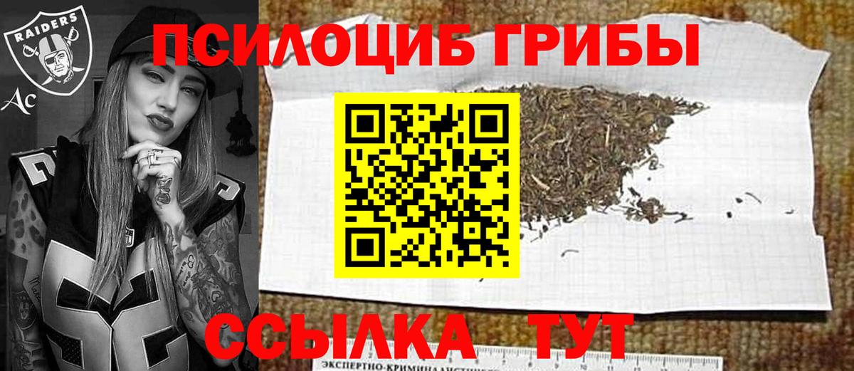 Псилоцибиновые грибы Psilocybe  Галлюциногенные грибы Cubensis  Вход с VPN  Избербаш 